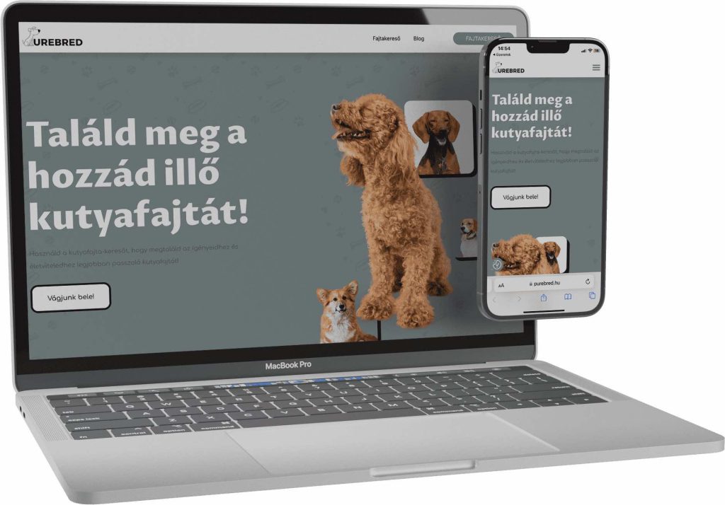 PUREBRED weboldalkészítés referencia
