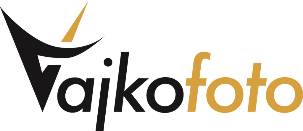 Weboldalkészítés és online marketing 23 cropped-vajko-foto-logo-v1-1024x444